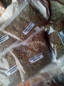 Kenyan AA Arabica Coffee beans